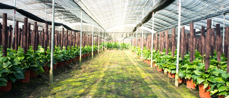 Fertilizante Orgánico de Primera Calidad